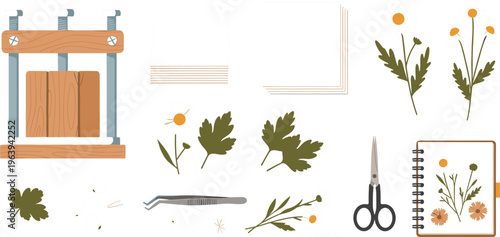 Botanical Herbarium Illustration Set Featuring Plant Press, Dried Flowers, Leaves, Tweezers, Scissors and Notebook for Nature Study