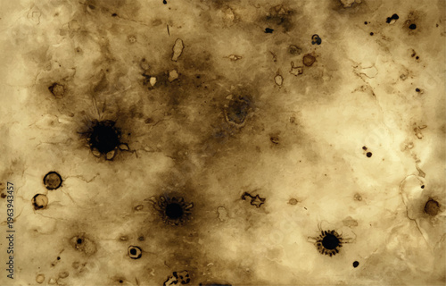 Distressed parchment paper texture with dark brown stains and burnt edges