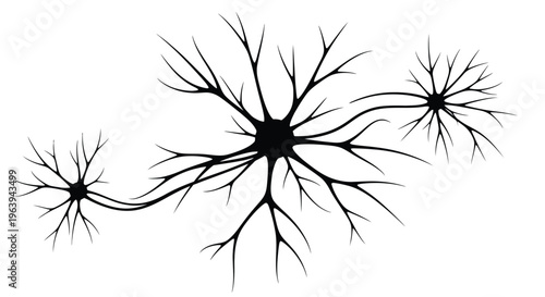 Obraz na plátně Black and white illustration of three branching neuron cells against a white bac