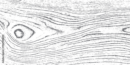 Gray wood grain texture with knots on white background