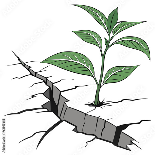 Green Seedling Emerging from Cracked Earth leaves growth