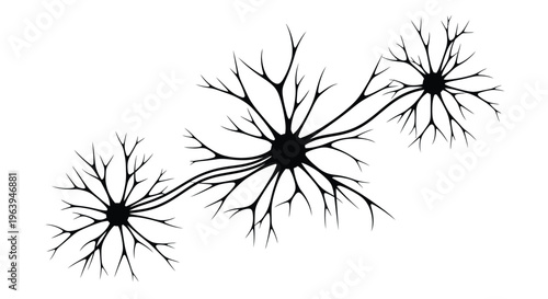 Black and white illustration of three branching neurons with cellular bodies