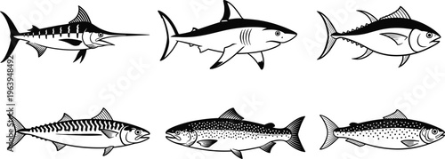 Black and white vector illustration of fish silhouettes featuring marlin, shark, tuna, mackerel, salmon, and trout isolated on a clean white background for design.