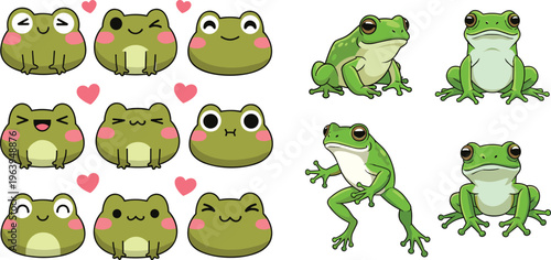 Cute Frog Face Expression Set with Cartoon Emoji Style Frogs and Realistic Green Frog Poses for Amphibian Wildlife Vector Illustration Collection