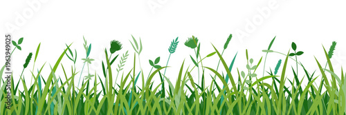 Drawn grass isolated on white background, seamless border, vector design