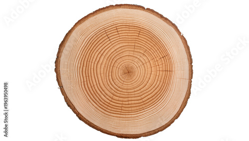 Foto Detailed cross-section of a natural tree trunk revealing annual growth rings and