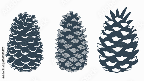 Three pinecone illustrations in varying styles, isolated on a white background