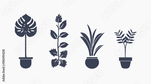 Four potted plant silhouettes in a row on a white background, botanical graphic