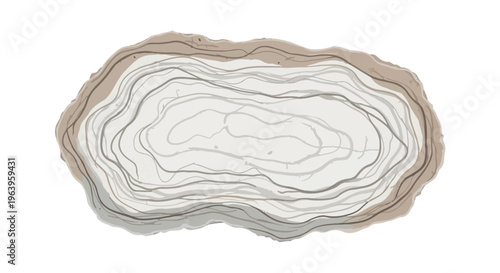 Geode Stone Rock Mineral Specimen Cross Section.