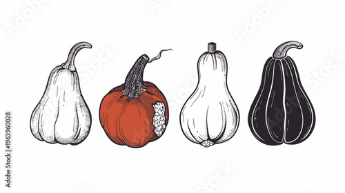 Four gourds with unique shapes and colors in a simple row on a white backdrop