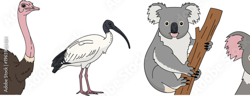 Cute Wildlife Animal Characters Vector Set Featuring Ostrich, Ibis Bird and Koala Illustration in Flat Cartoon Style for Kids Education and Design