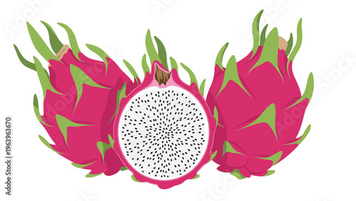 Vibrant dragon fruit illustration depicting several whole pitayas alongside a cross section revealing the white flesh and tiny black seeds inside.