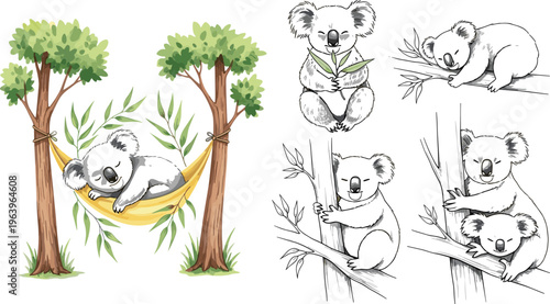 Cute Koala Cartoon Set with Sleeping and Climbing Poses, Bamboo Eating and Hammock Scene, Adorable Wildlife Illustration for Kids Design and Vector Collection