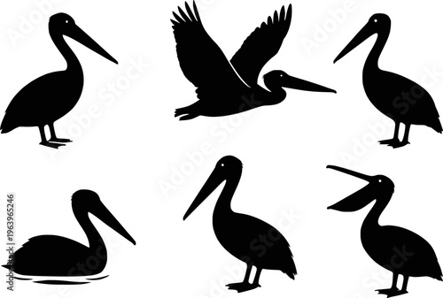 Pelican silhouette set vector illustration