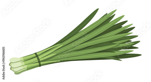 Rustic illustration of a fresh bunch of chives, featuring numerous long, slender green stalks tied together, ready for culinary use, on a white background.