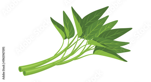 Vibrant illustration of a fresh bunch of water spinach, showcasing its slender green stems and pointed leaves, commonly used in Asian cooking.