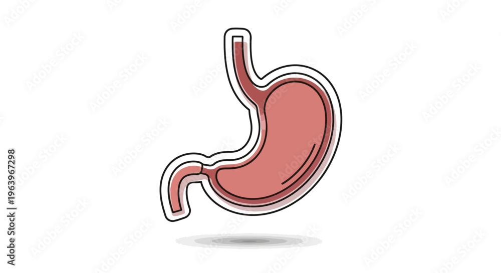 Fototapeta premium Stylized graphic illustration of a human stomach, depicting a vital digestive organ for medical, anatomical, and health-related content. A clean icon representing gut health and internal biology