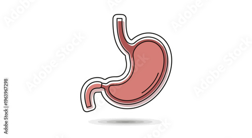 Stylized graphic illustration of a human stomach, depicting a vital digestive organ for medical, anatomical, and health-related content. A clean icon representing gut health and internal biology