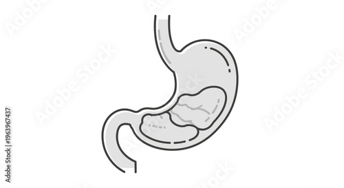 Conceptual black and white line art illustration of the human stomach organ, depicting its anatomical structure and function, an essential biological concept