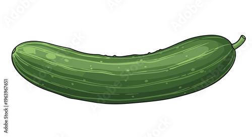 Classic illustration of a single green cucumber, showcasing its smooth, elongated body with subtle stripes, ready for refreshing use, on a white background.
