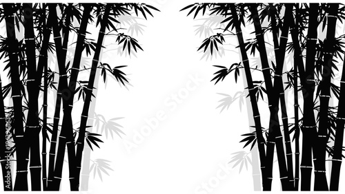 minimalist bamboo forest in black and white high contrast monochrome