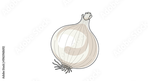 Classic illustration of a single white onion, showcasing its smooth, rounded shape and papery white skin, a fundamental kitchen ingredient, on a white background.