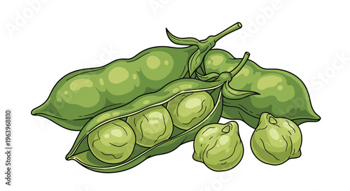 Appetizing illustration of fresh green chickpeas, with two pods open to reveal the plump peas, and loose peas scattered around, on a white background.