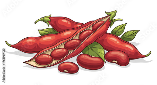 Appetizing illustration of red kidney beans, with several whole pods, one opened to reveal the distinctively red beans, alongside a scattered pile of shelled beans.