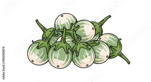 Rustic illustration of a pile of small green eggplants, showcasing their round, striped white and green appearance, on a white background.