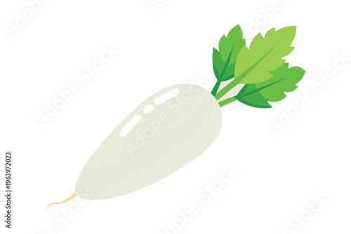 Fresh white radish or daikon vector illustration isolated on white, healthy organic vegetable icon.