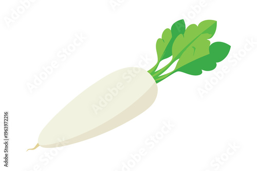 3d white radish vector illustration isolated on white background