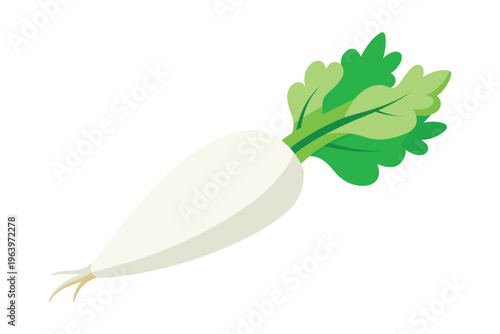 3d white radish vector illustration isolated on white background