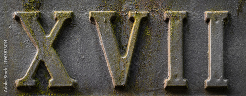 XVII Siebzahn 17 Römische Ziffer