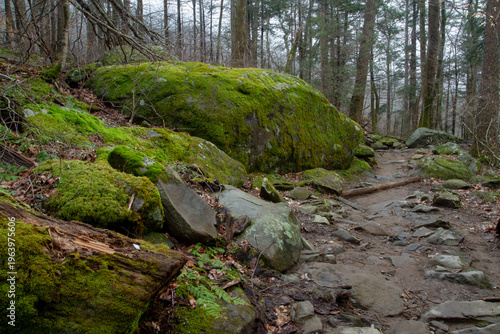 a wet slippery walking path with lots of larges stones and rocks in the ground making for a difficult and strenuous hike in the humid rainforset with moss covered slippery rocks