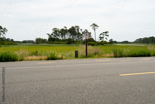 two way asphalt pavement of a state road with a bike lane on one shoulder, it runs flat through a wetland