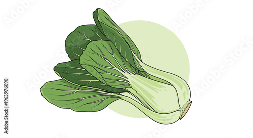 Fresh green bok choy vegetable bunch with white stalks and vibrant leaves against a pale green circular background.
