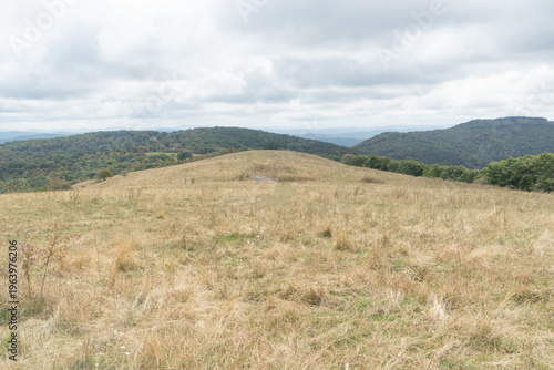 bald knob is a common name and term used to describe a mountain top that has been clear cut and is devoid of trees