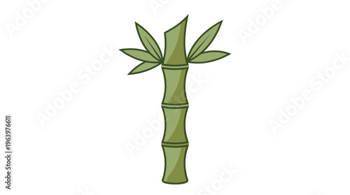 Bamboo plant green stem leaves.