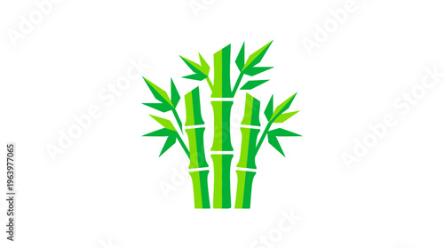 Bamboo plant green stems and leaves.