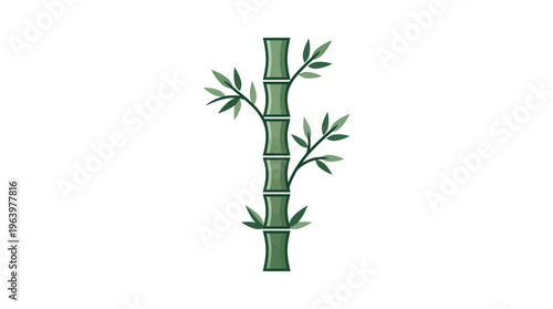 Bamboo plant with green stems.