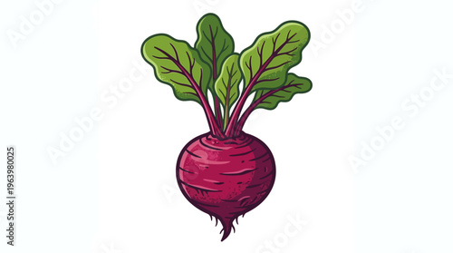 Beetroot Vegetable with Green Leaves.