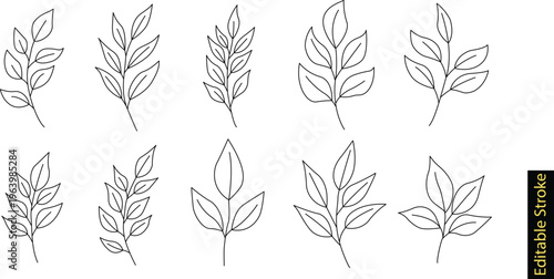 Botanical leaf branches line art set. Editable stroke vector collection of 10 minimalist twigs. Simple floral elements for wedding invitations, logo design, and craft patterns.