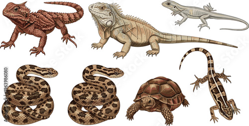 Foto Detailed Reptile and Amphibian Vector Set Featuring Iguana, Bearded Dragon, Snak