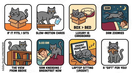 Relatable Gray Cat Behaviors and Funny Habits Comic Strip Collection