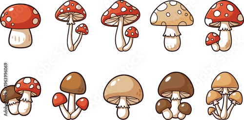 Cute Cartoon Mushroom Vector Set Featuring Toadstools and Forest Fungi Characters with Colorful Caps for Kids Design, Nature Illustration, and Fantasy Themes