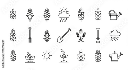 Set of agriculture icons representing farming, harvest, growth, and weather conditions like sun and rain, plus gardening tools