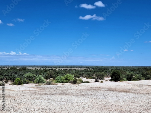 Valokuva Australian Outback with trees under a clear blue sky near Lightning Ridge New So