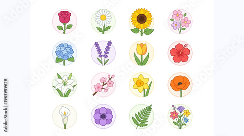 Collection of various colorful flower types.