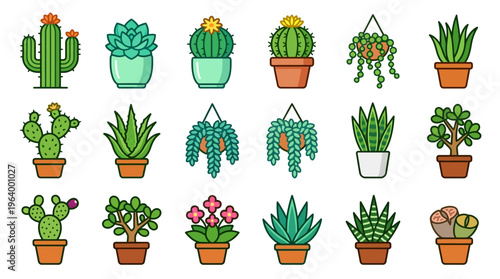 Collection of various potted succulents plants.