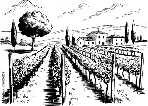 Hand Drawn of a Tuscan Vineyard Estate with Rolling Hills and Cypress Trees wine